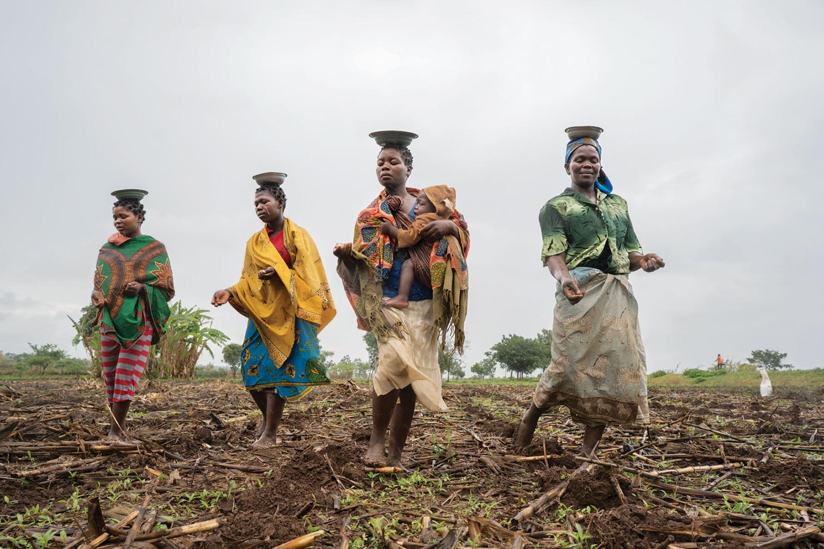 Maria Gorete plants maize with her daughters