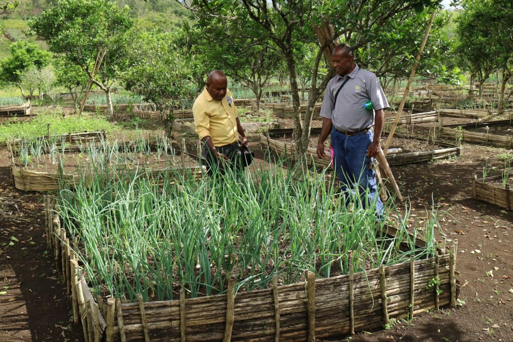 Two men standing next to a raised garden bed.