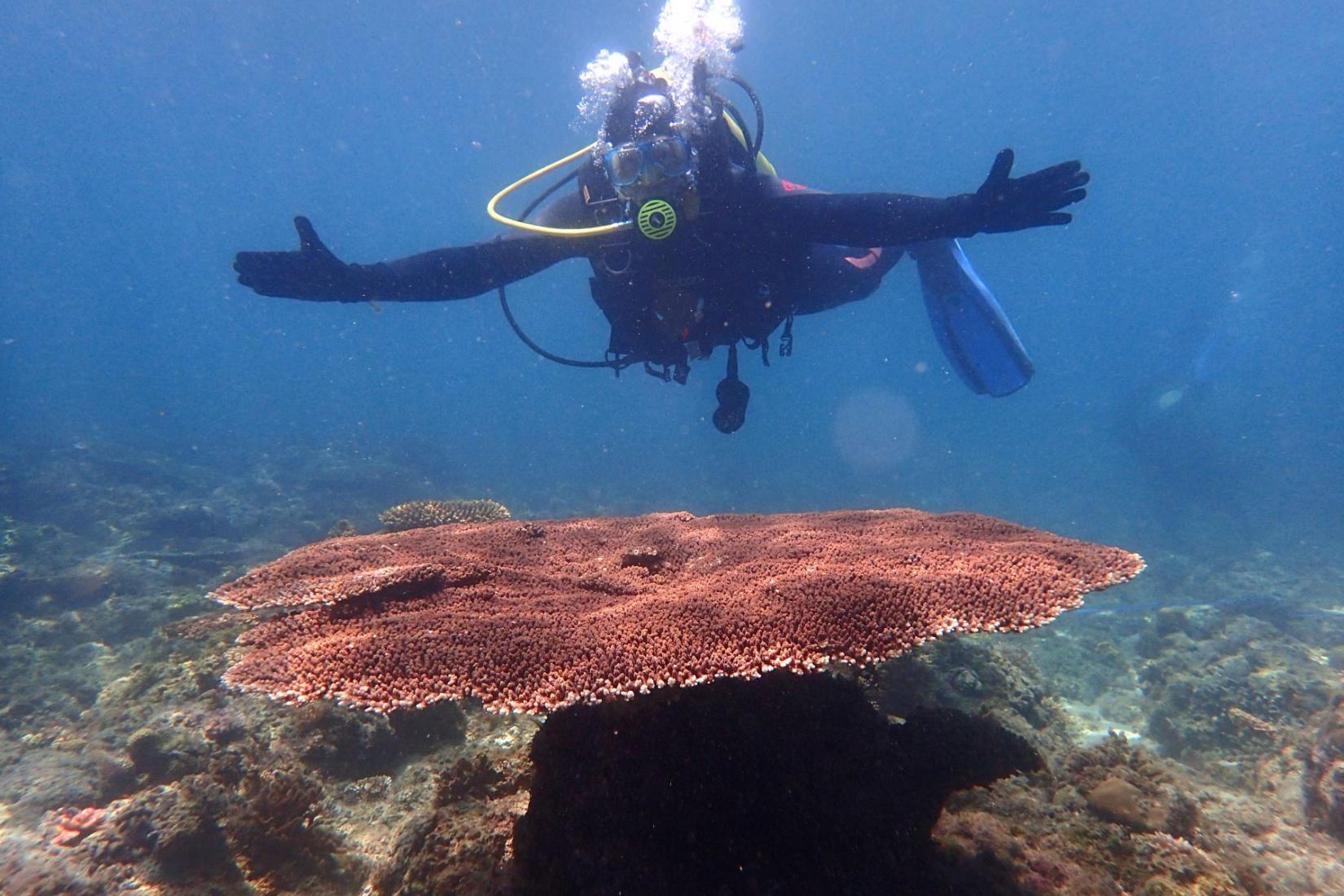 Scuba diver above coral with outstretched arms