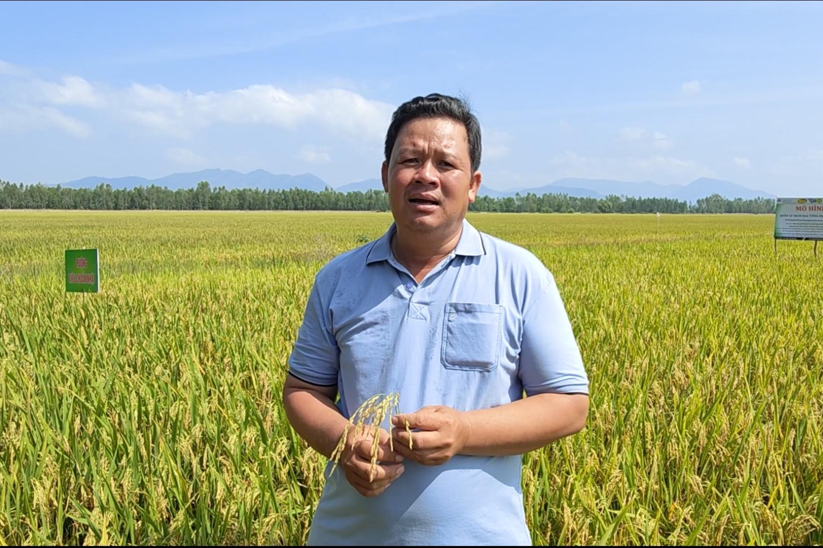 Man standing in a rice field facing the camera