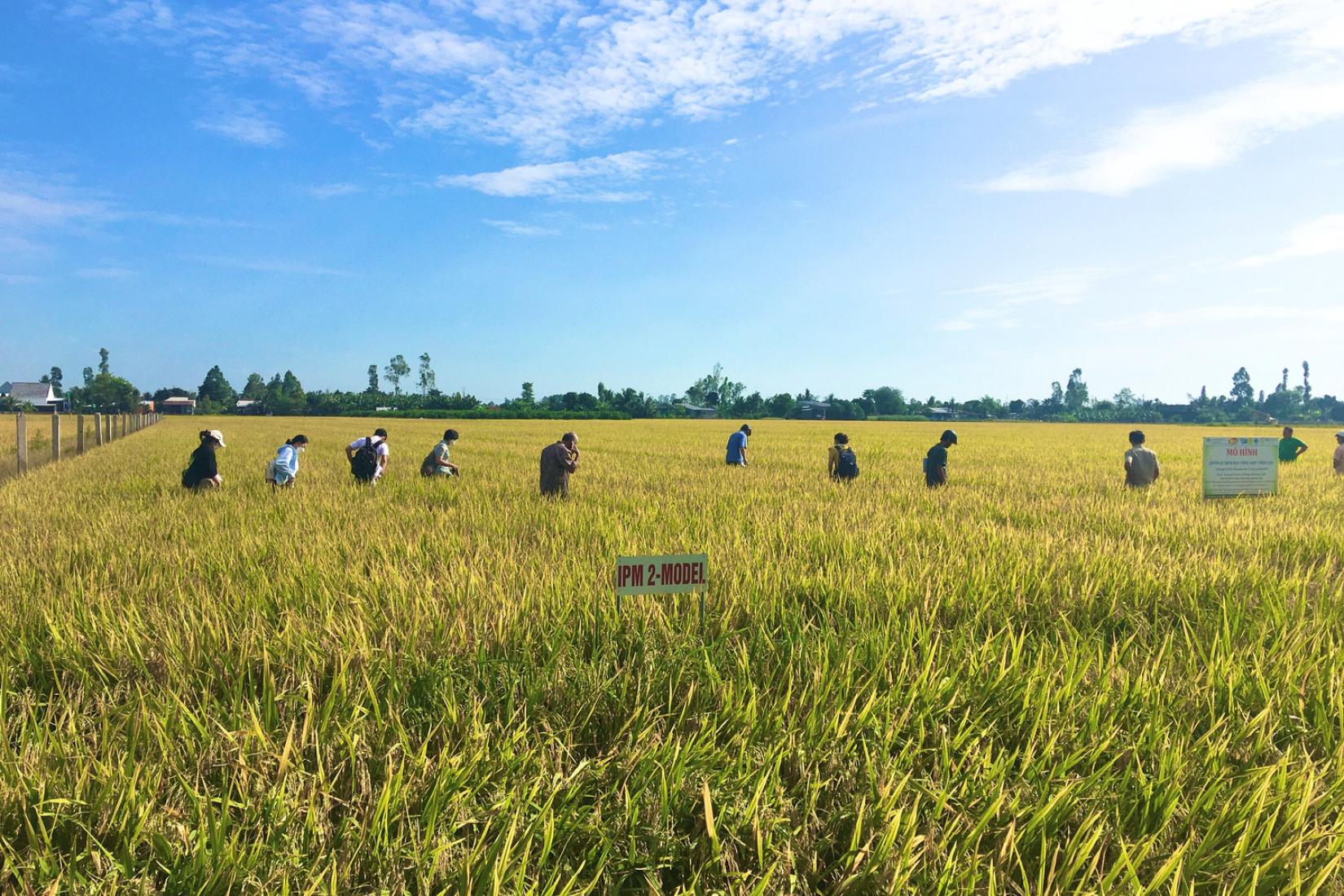 A line of people in a field