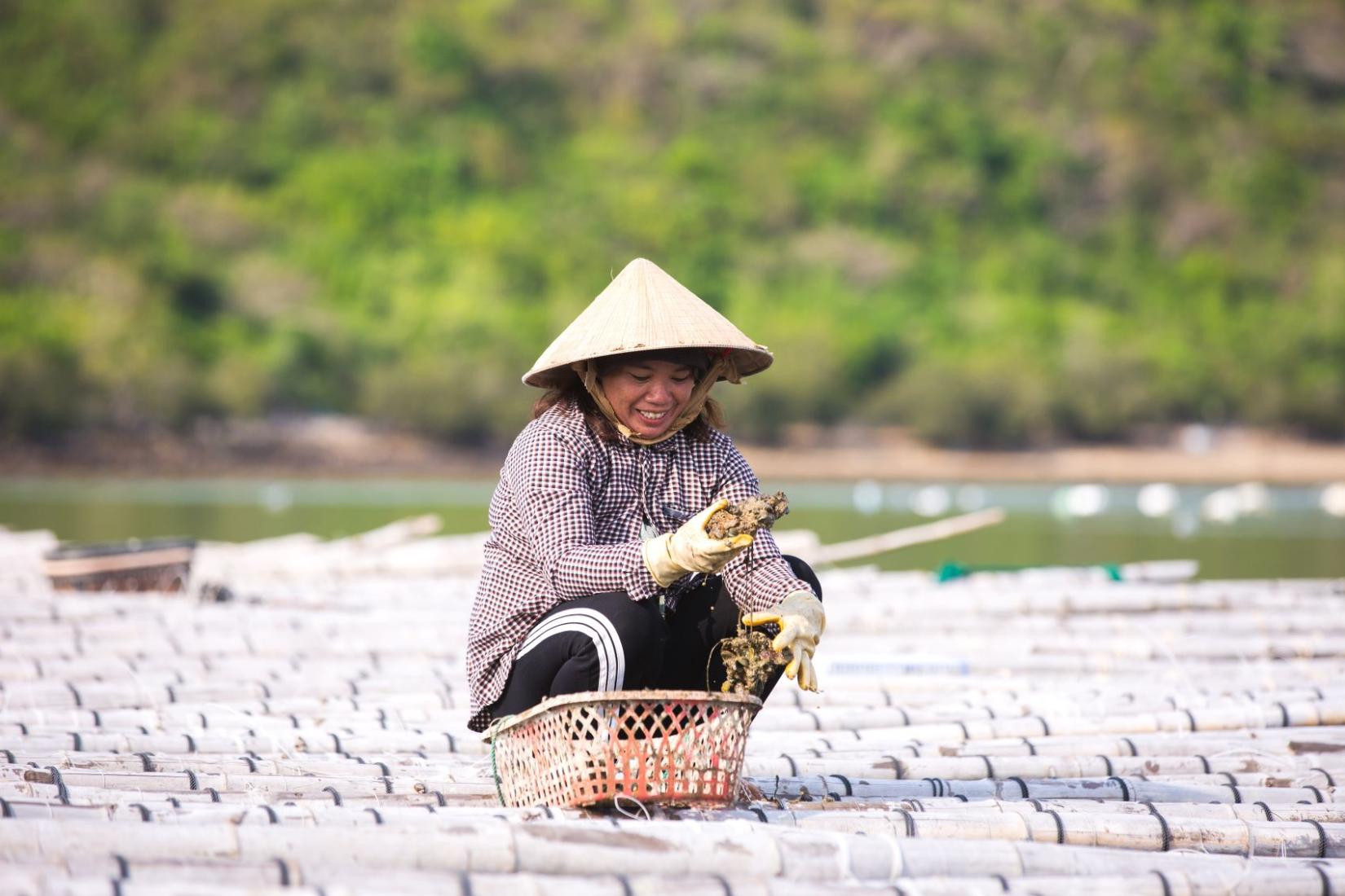 Women holding oysters at an oyster farm