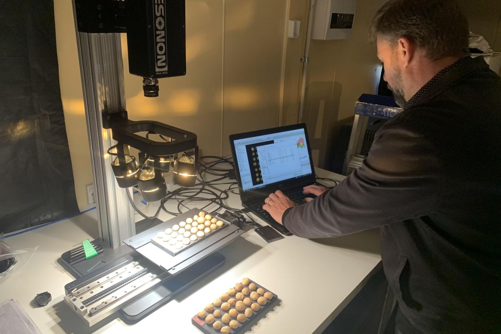 A person working on a computer assessing a tray of macadamia nuts