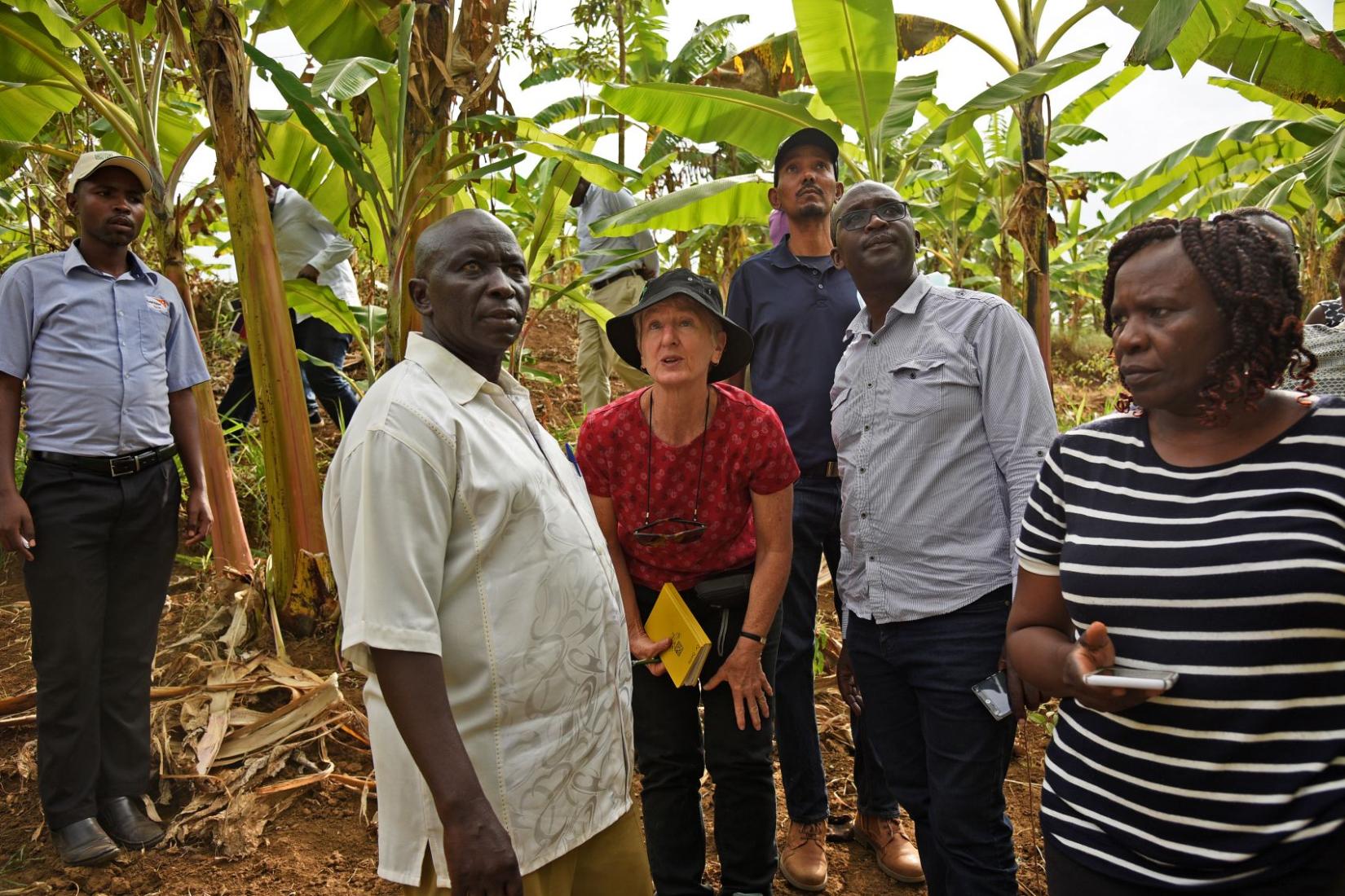 Nora Devoe stands with a group of people looking up towards the tops of the trees.