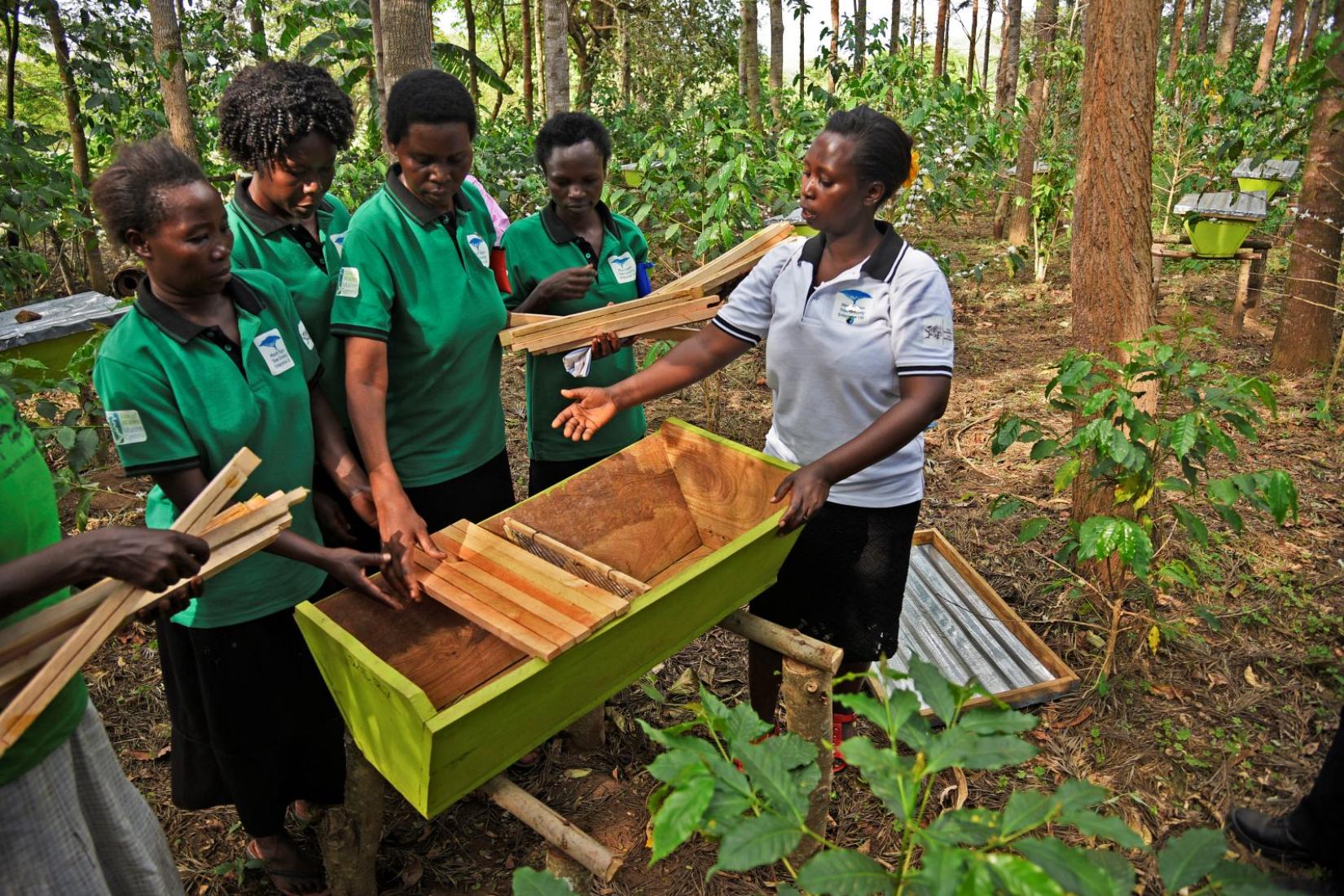 A group pf people in green t-shirts holding a wooden structure together in a forest.