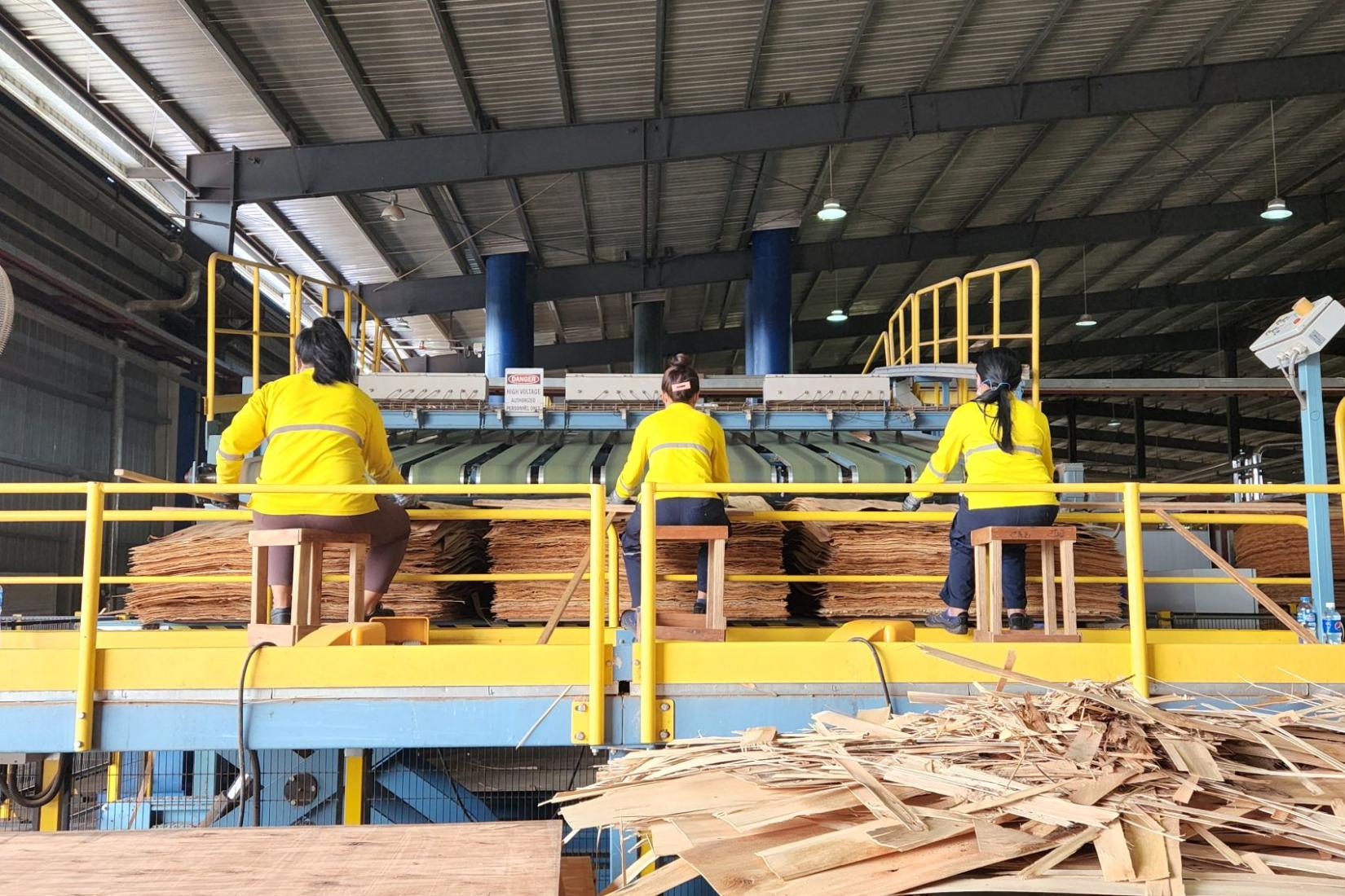 Three women in high visibility shirts sitting down and working with sheets of wood.