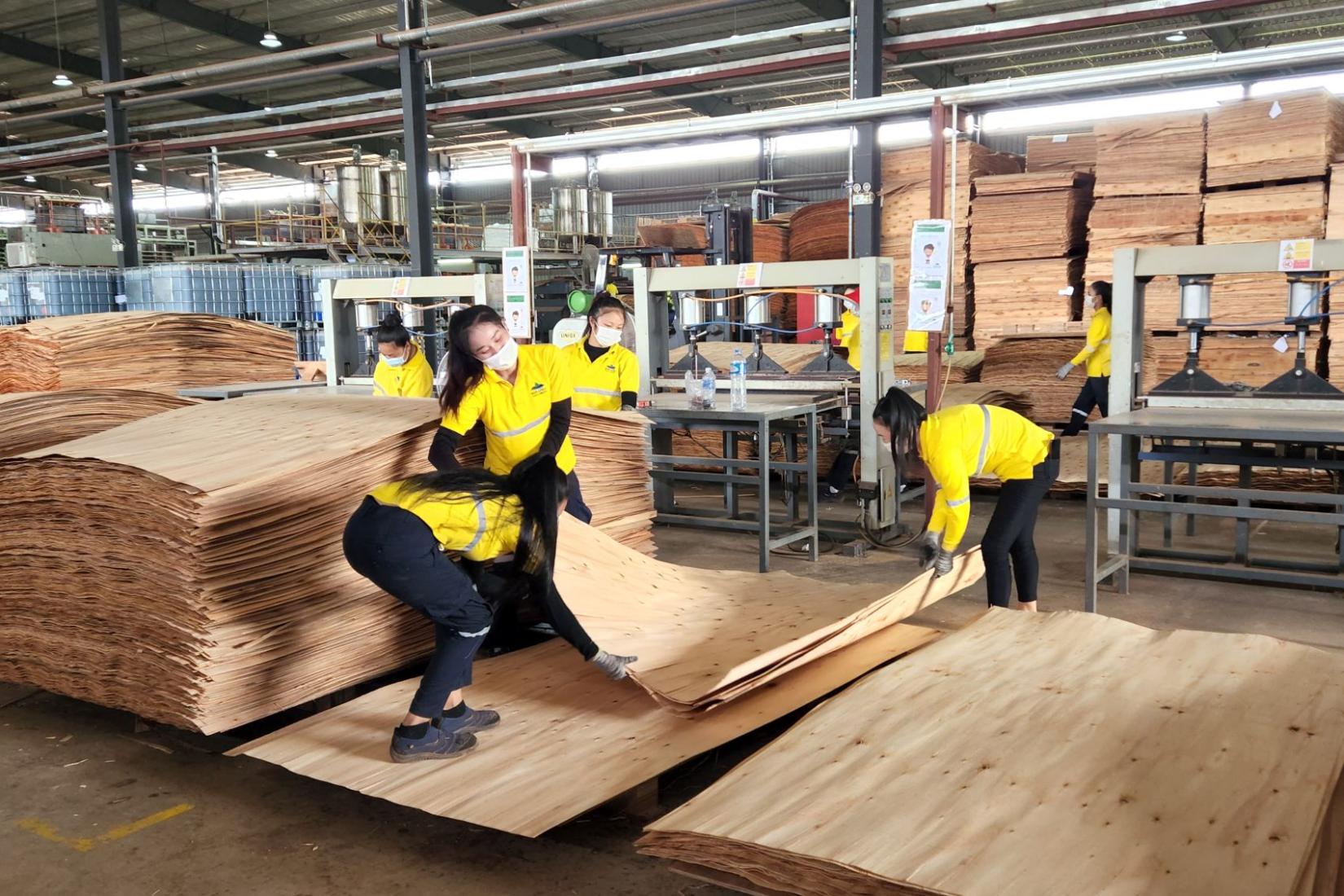 Three women lifting a sheet of wood together. 