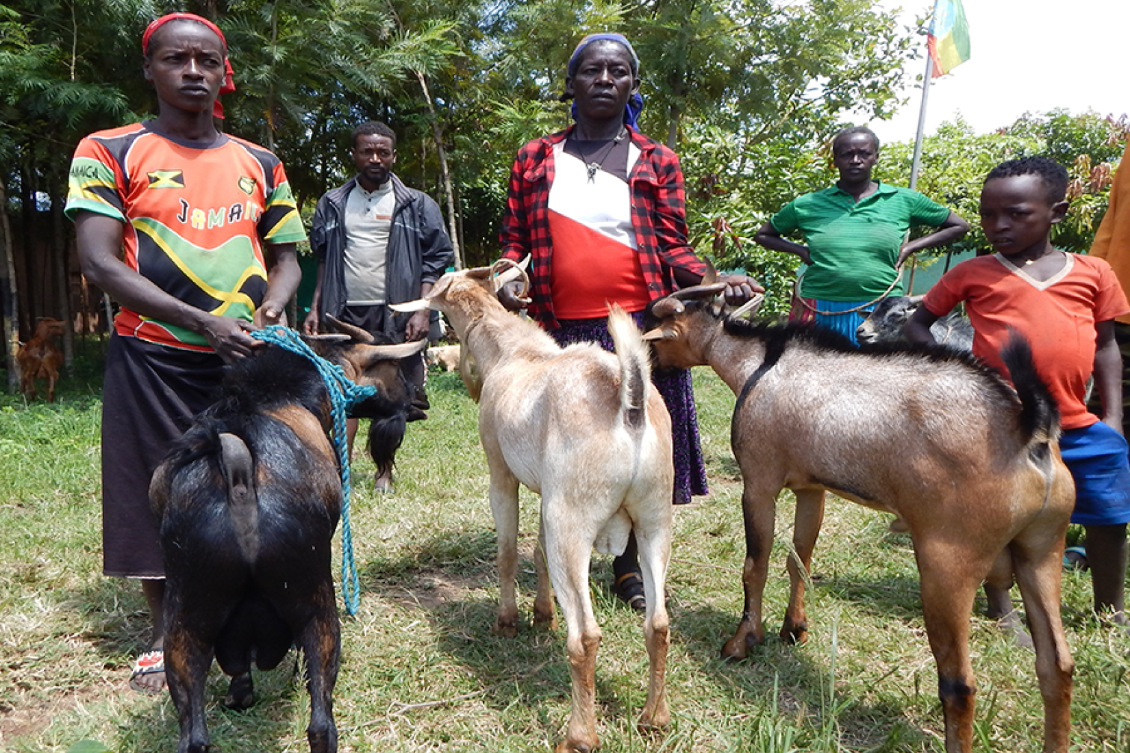 Smallholder farmers standing with goats in a rural village setting.
