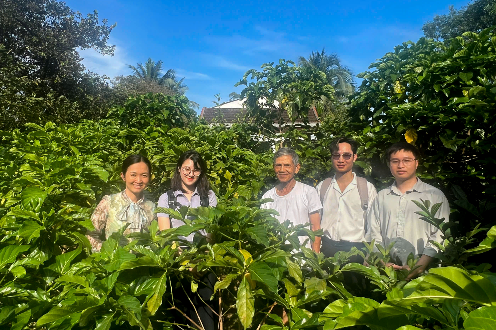 people standing among dense green crops on a farm