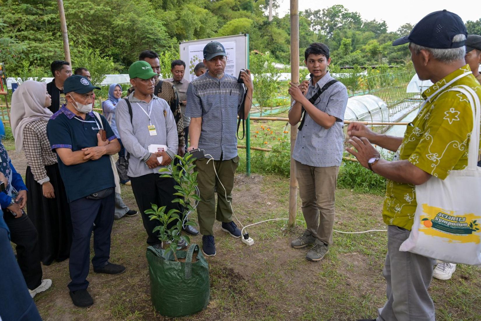 Project team discussing nursery plants during a field visit.