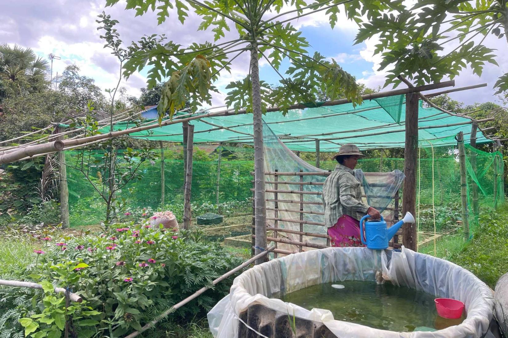 A farmer waters vegetables in a home garden beside a small water pond.