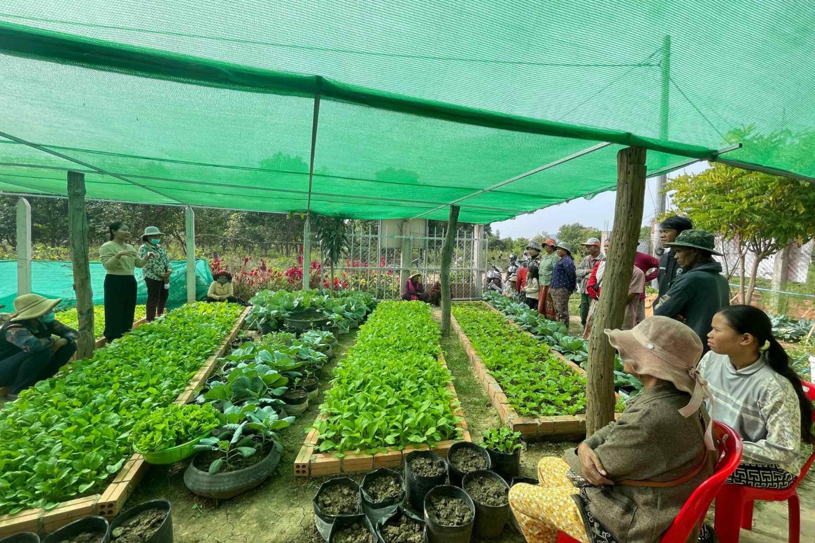 Community members learn about vegetable production in a shade-house garden.