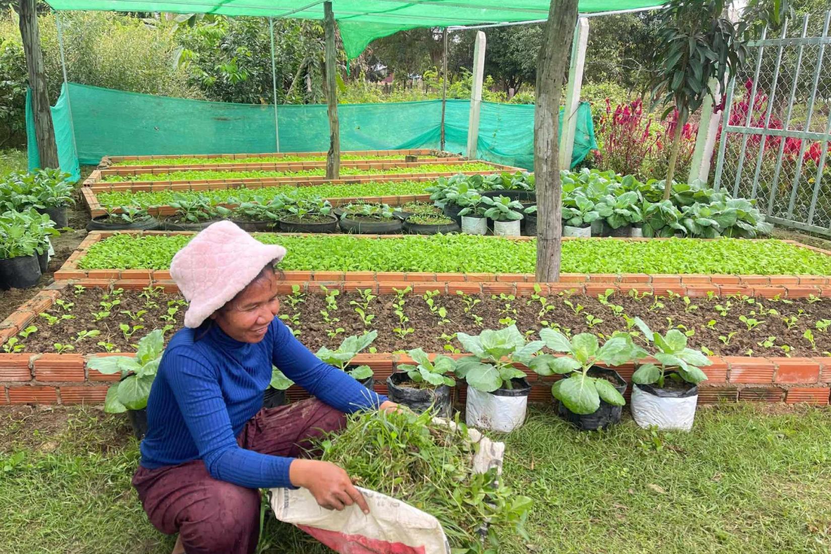 A farmer removes weeds in a thriving home vegetable garden.