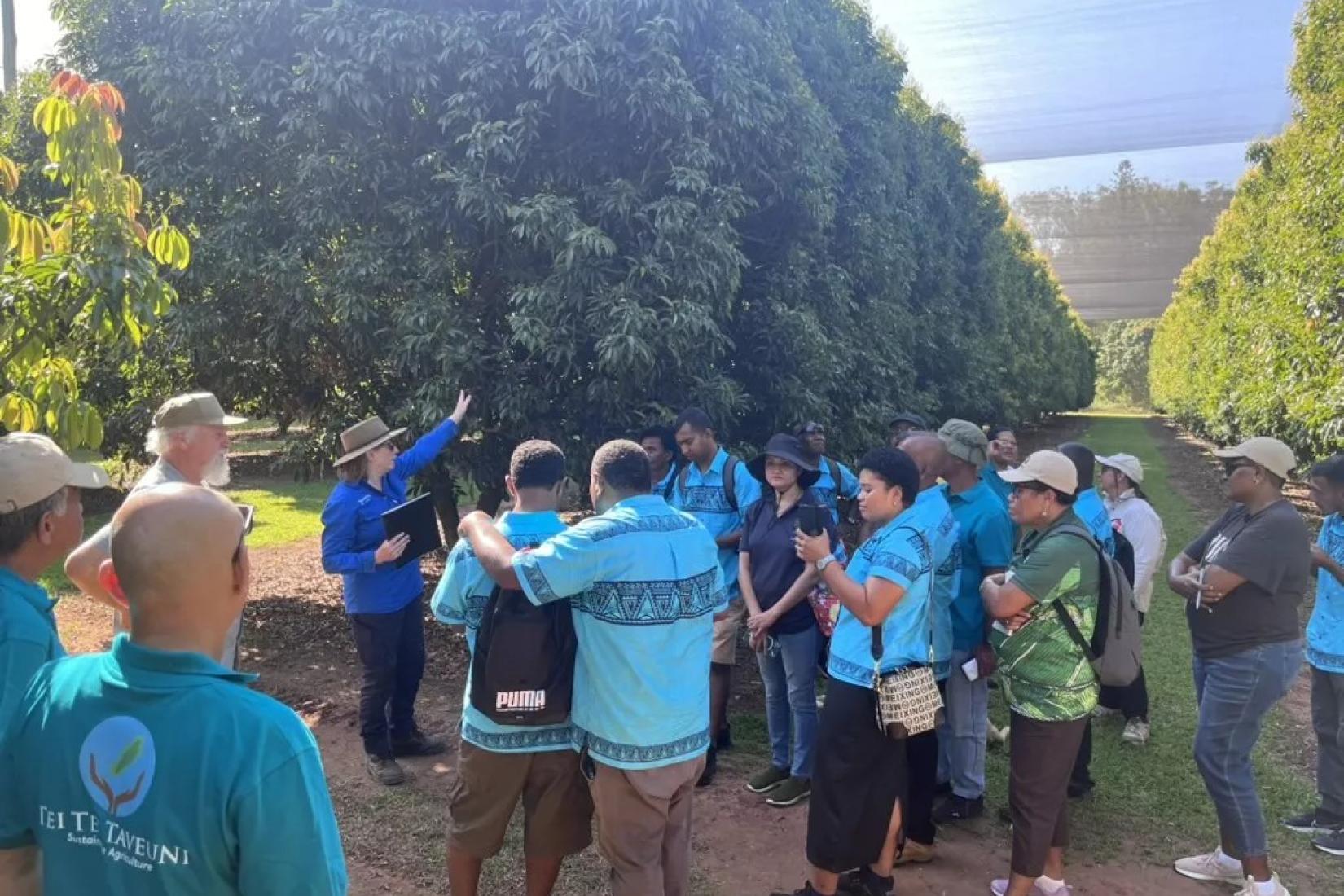 Study group visiting a tropical fruit farm.