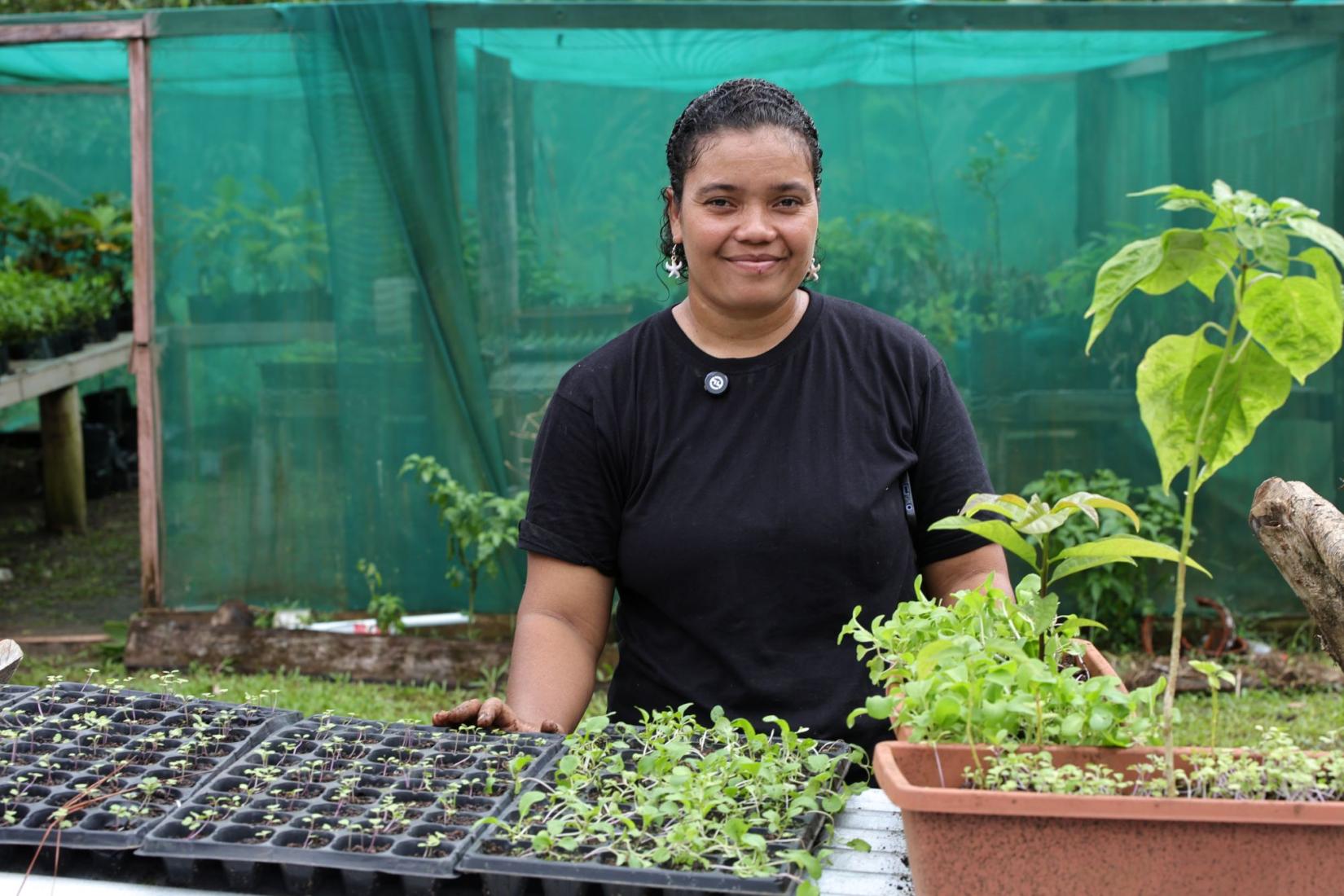 Person standing beside seedling trays in a nursery.