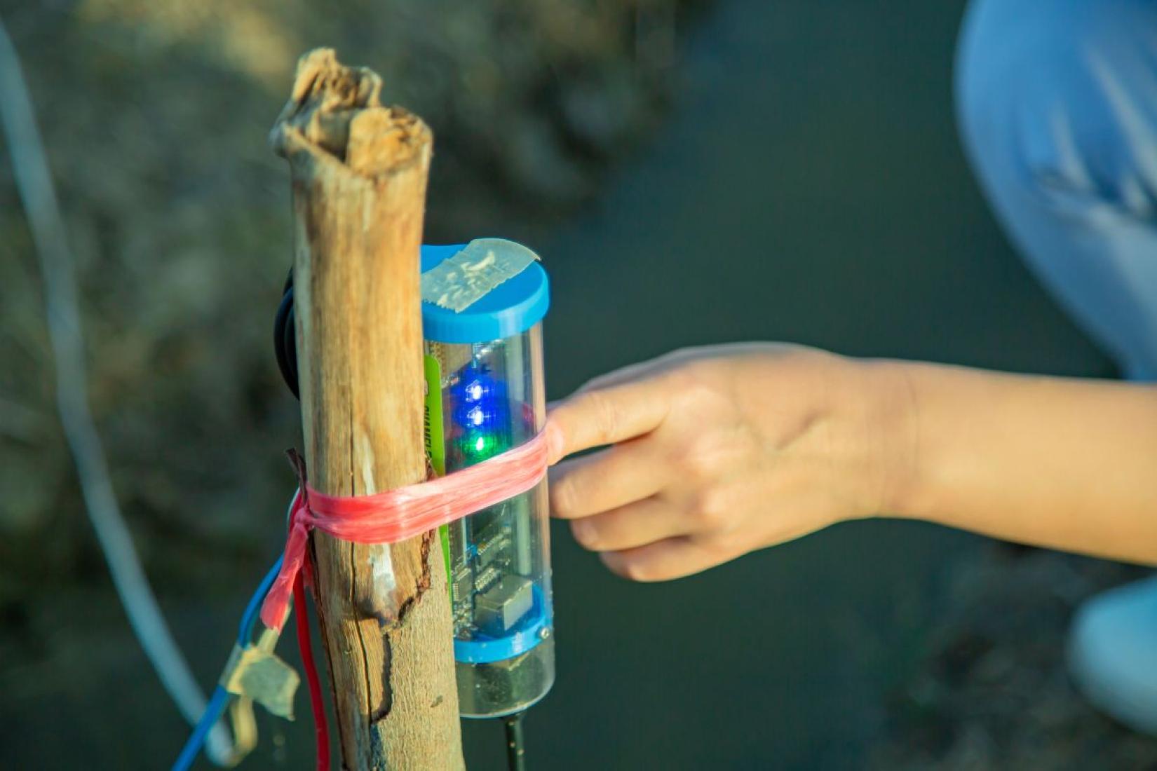 Close-up of a hand pointing to a monitoring device attached to a wooden stake in a field.