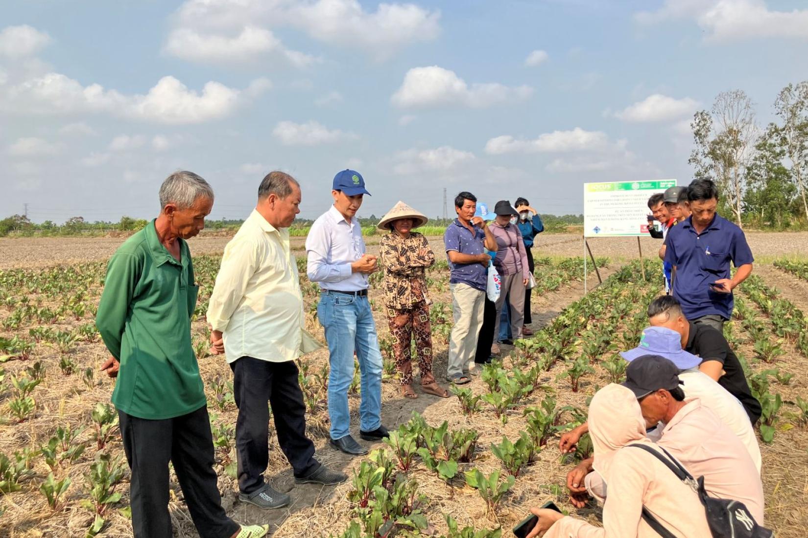 Group of farmers and researchers inspecting vegetable crops during a field training session.