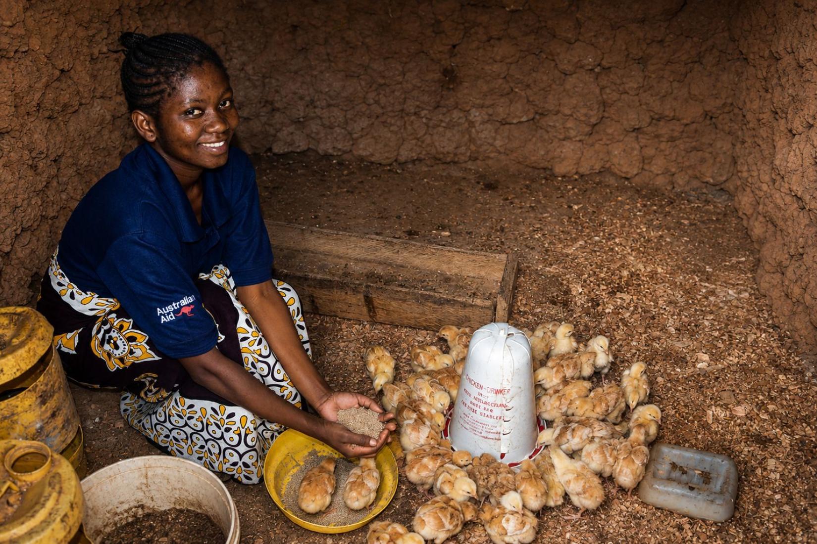 Person feeding chicks inside a simple poultry shelter, holding feed beside a water container.