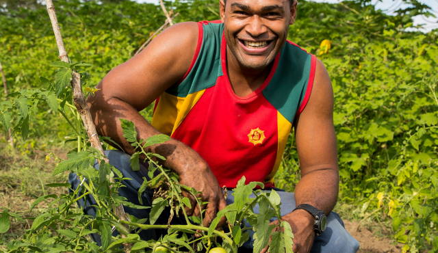 Man with tomato plant