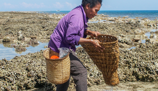 Woman with fishing baskets on coral rocks at ocean edge