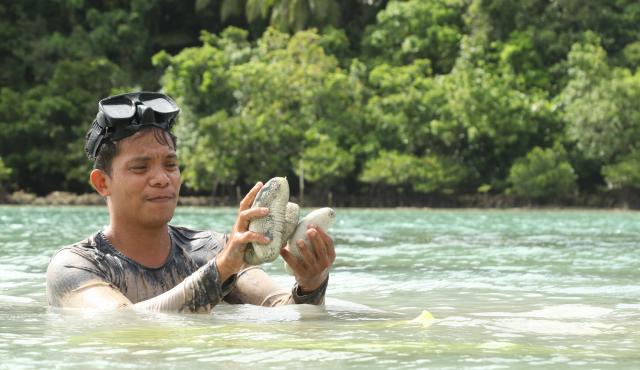 Roberto Gonzales Jr, a sandfish ranch co-manager in Buyayawon, Mercedes, Eastern Samar, inspects a sandfish.