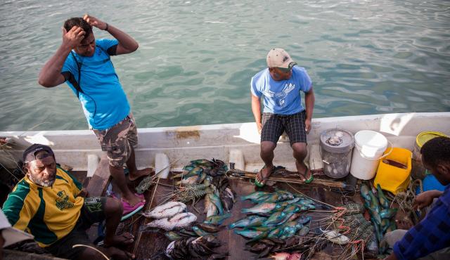 Three men in a boat with a variety of caught fish set out on the floor of the boat.