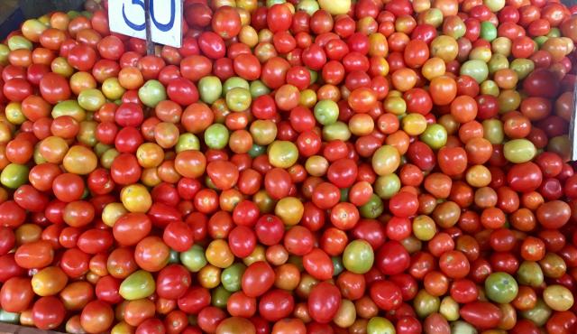 Tomatoes, ranging in colour from red to green