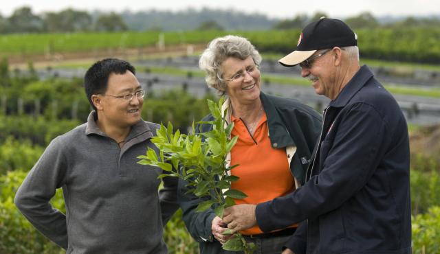 A woman wearing an orange shirt is standing between two men. One of the men is holding some seedlings in his hand. They are smiling and talking. 