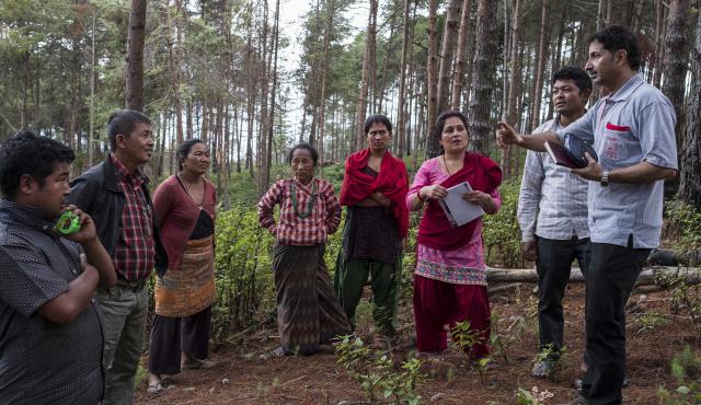 Group of people standing in front of trees