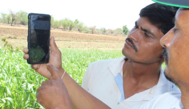 Two men looking at a handheld device while standing in front of a green field.