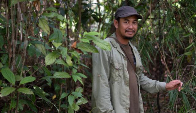 A man poses for a photo. He is surrounded by green trees.