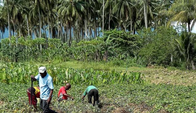 People working outdoors in a field.