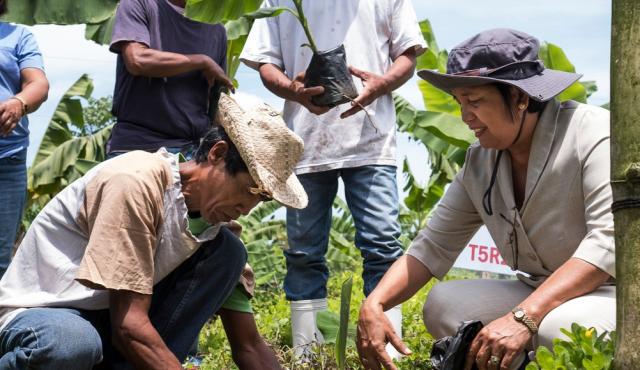 A group of farmers planting in a field