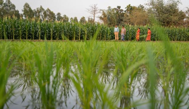 Bangladesh