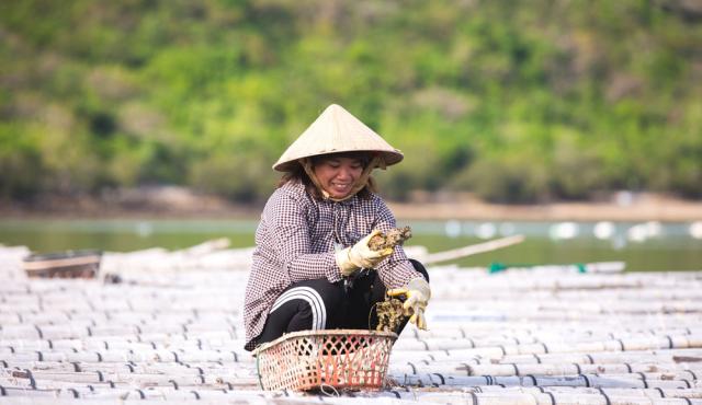 Vietnam