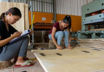 Lao wood processing plant