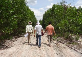 Forestry Administration staff conducting surveillance in an Acacia plantation, Kampong Chhnange Province, Cambodia.