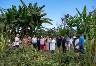 Commission in Timor-Leste 