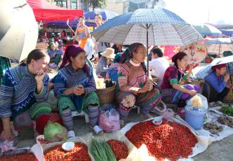 A group of people sitting on the ground and holding umbrellas, displaying produce, including chillis for sale