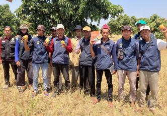 Mango farmers