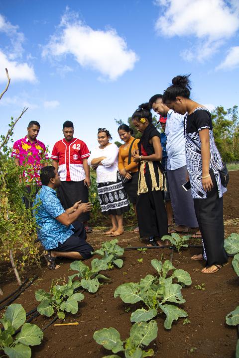 JAF recipient and SPC Plant Health Coordinator Mani Mua (right) conducts a plant health field visit in Nuku’alofa, Tonga, with participants in Pacific Seeds for Life Training. Photo: Simione Tukidia, SPC.