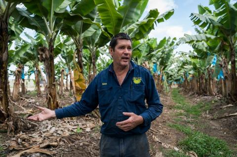 Patrick Leahy, banana farmer and member of Australian Banana Growers Association, discusses the challenges of TR4 on his plantation.