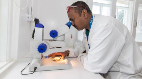 Nitesh Nand, SPC Plant Health Field Technician, conducts live-cell imaging on a guava leaf sample at the new Plant Health Laboratory.