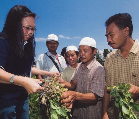 A woman with glasses and wearing a watch is being handed a crop sample from a man. Another man is standing next to them holding another crop sample. Several men are standing behind them watching. 