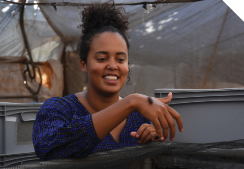 A woman wearing a blue top is in a shed. She is holding her hand above a plastic tub and a large black insect is crawling on her hand. 