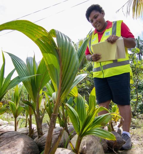 A person holding paper inspecting plants