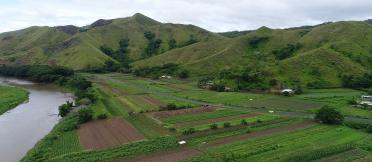 green farmland