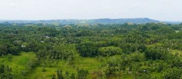 Philippines' forest