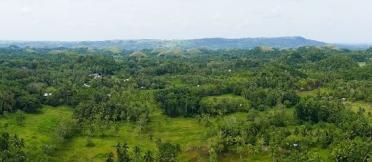 Philippines' forest