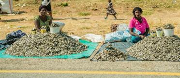 women selling dried fish